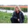 amylevine44